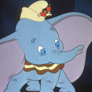 Meet your Posher, Lily